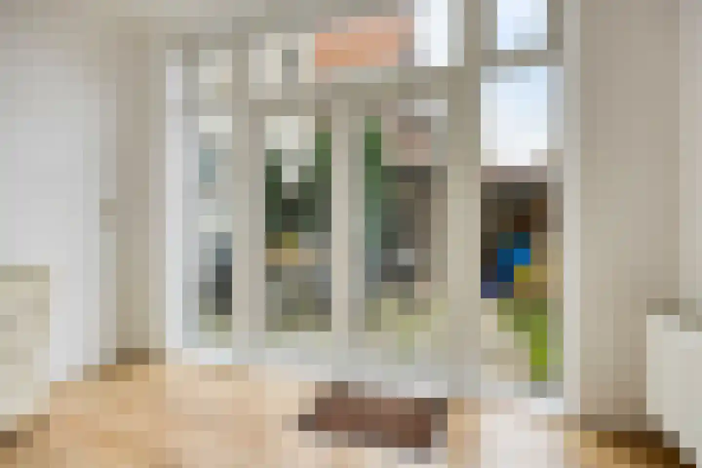 Westfrankelandsestraat 99 Schiedam thumbnail 12