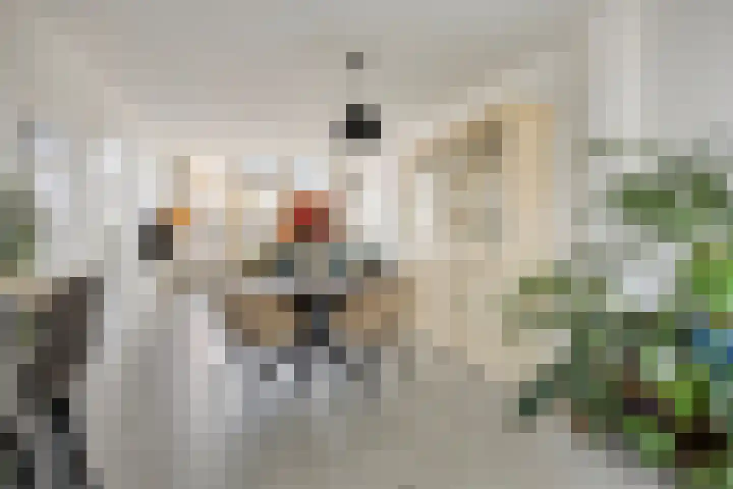Westfrankelandsestraat 99 Schiedam thumbnail 20