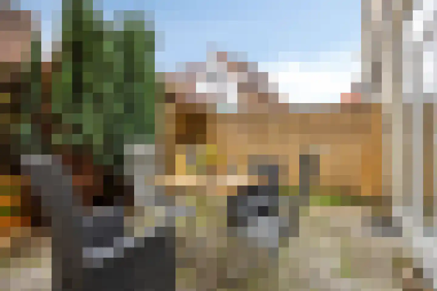 Westfrankelandsestraat 99 Schiedam thumbnail 39
