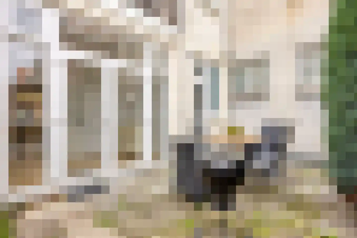 Westfrankelandsestraat 99 Schiedam thumbnail 40