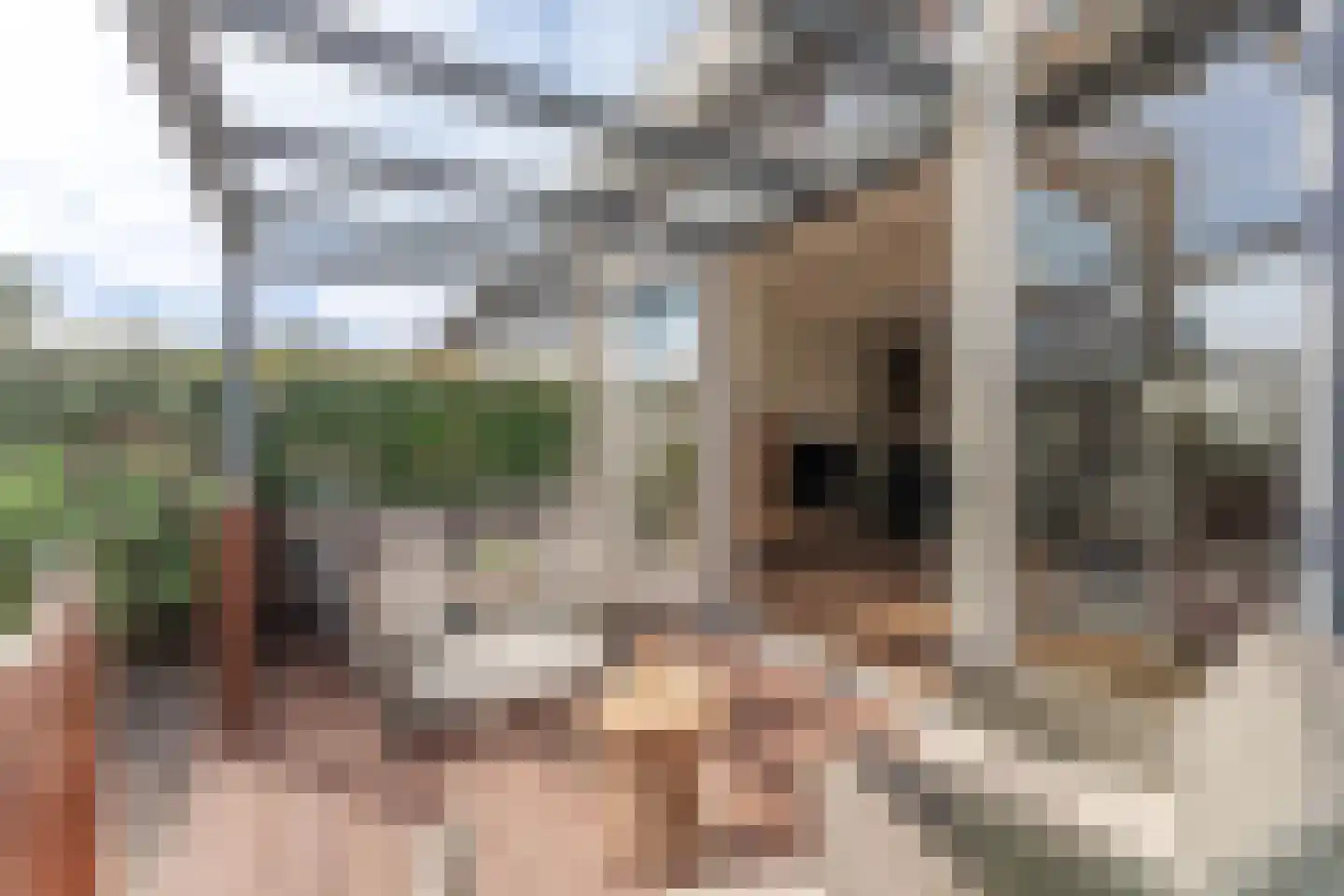 Westfriese Hof 167 Hoorn thumbnail 4
