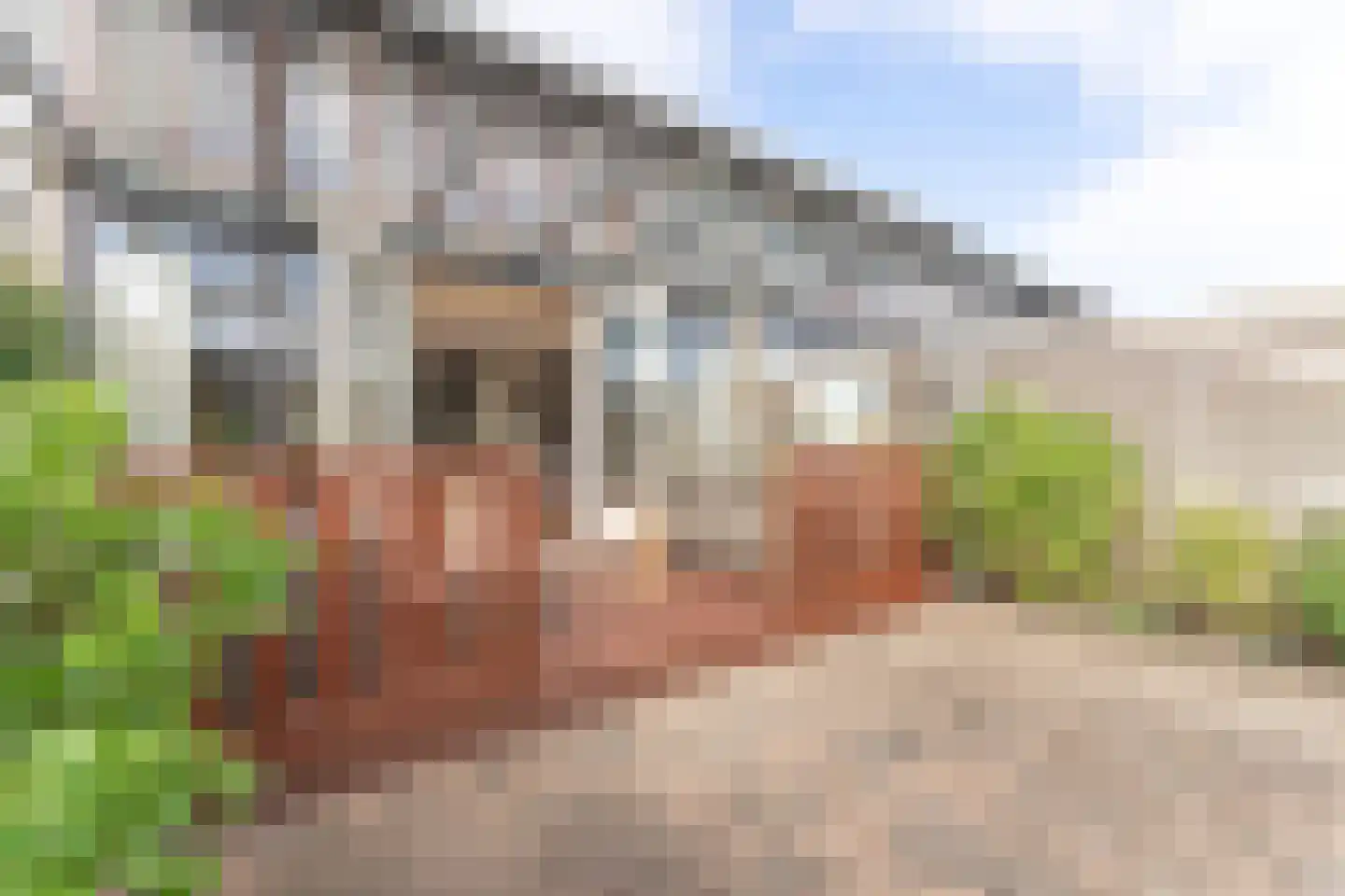 Westfriese Hof 167 Hoorn thumbnail 46