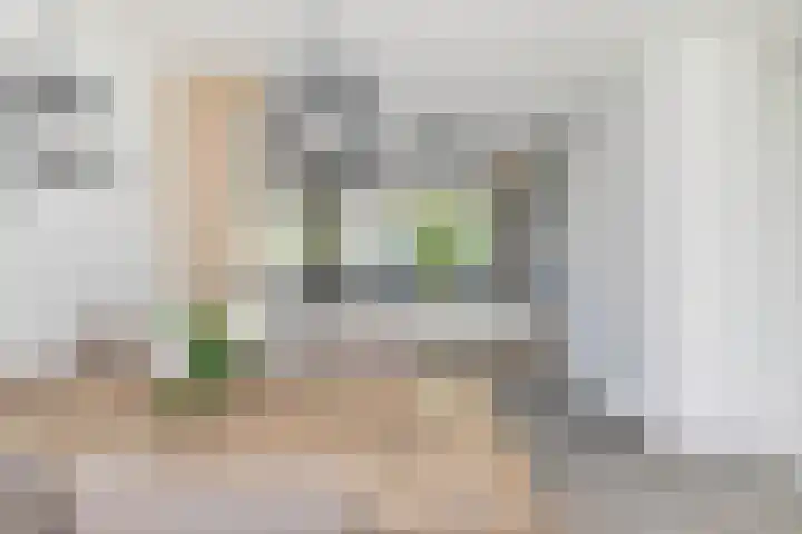 Westfriese Hof 180 Hoorn thumbnail 11