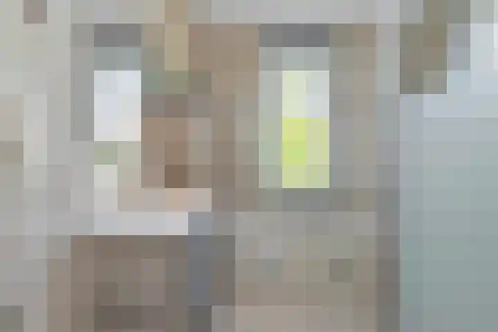 Westfriese Hof 180 Hoorn thumbnail 19