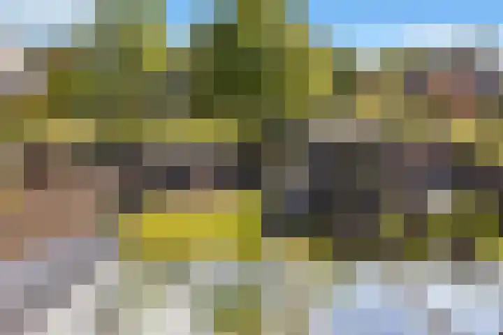 Westfriese Hof 180 Hoorn thumbnail 37