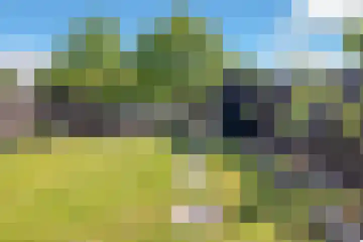Westfriese Hof 180 Hoorn thumbnail 38