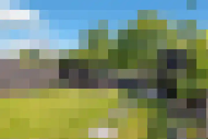 Westfriese Hof 180 Hoorn thumbnail 39