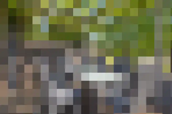 Westfriese Hof 180 Hoorn thumbnail 41