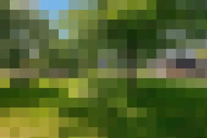 Westfriese Hof 180 Hoorn thumbnail 49