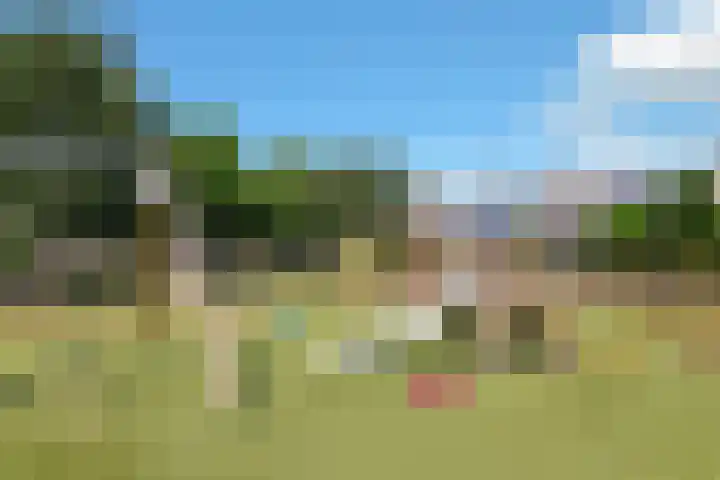 Westfriese Hof 180 Hoorn thumbnail 50