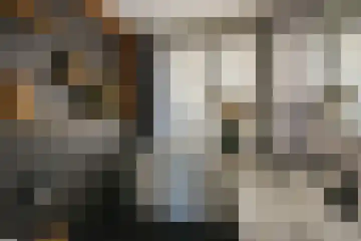 Westfriese Hof 184 Hoorn thumbnail 19