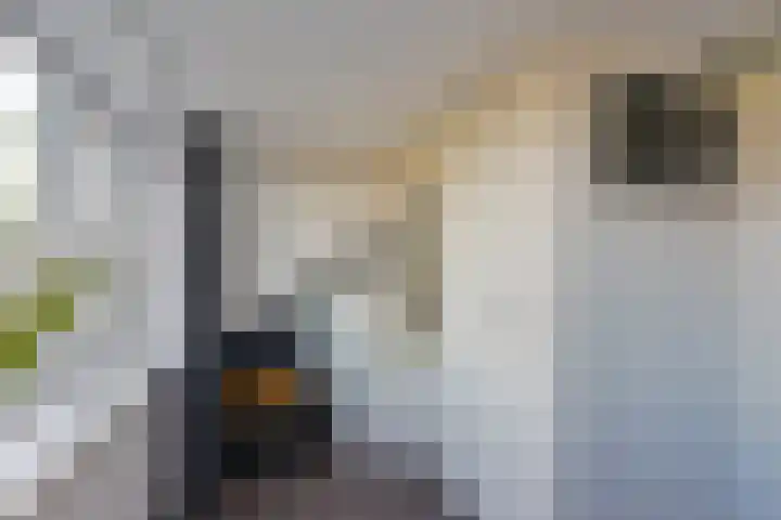 Westfriese Hof 184 Hoorn thumbnail 23