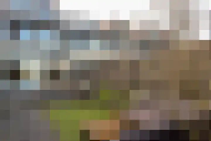 Westfriese Hof 184 Hoorn thumbnail 29