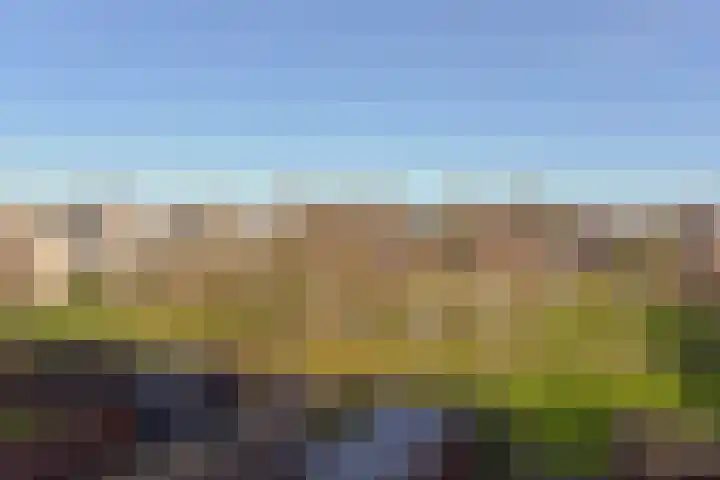 Westfriese Hof 184 Hoorn thumbnail 33