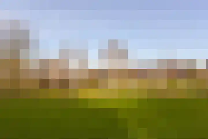 Westfriese Hof 184 Hoorn thumbnail 34