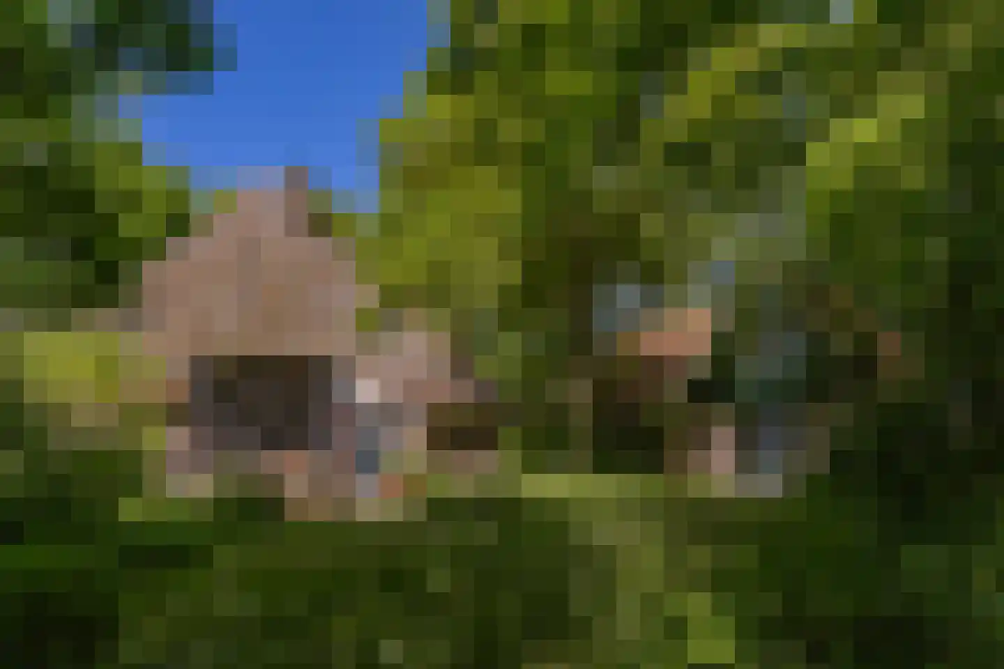 Westfriese Zeedijk 3 Sint Maarten thumbnail 30