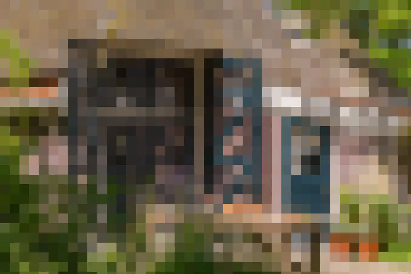 Westfriese Zeedijk 3 Sint Maarten thumbnail 31