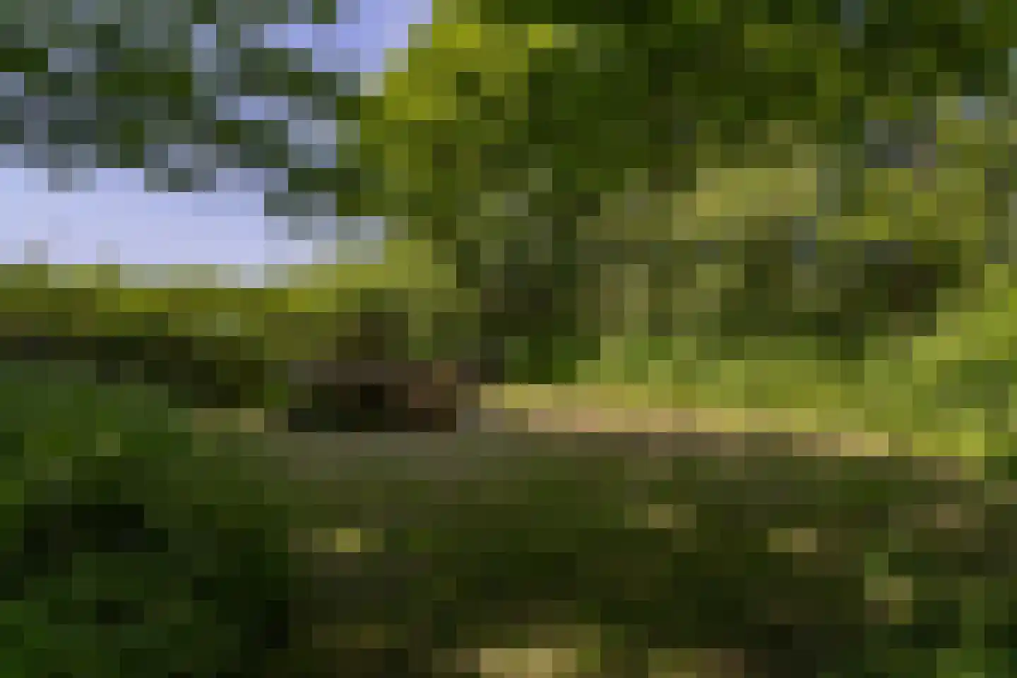 Westfriese Zeedijk 3 Sint Maarten thumbnail 33