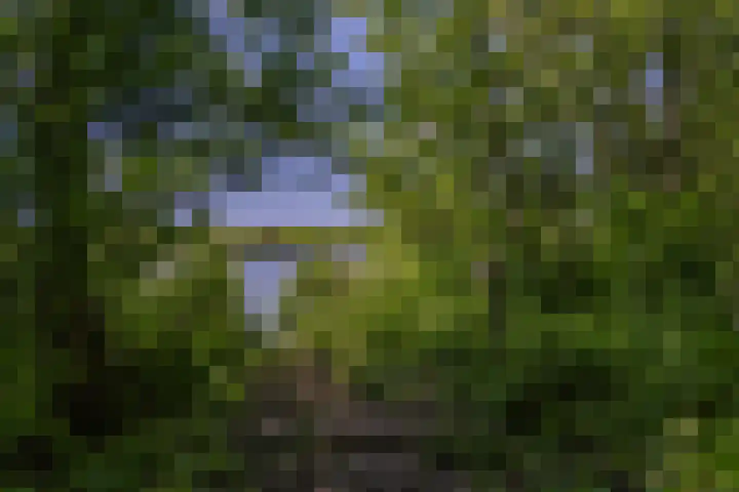 Westfriese Zeedijk 3 Sint Maarten thumbnail 36