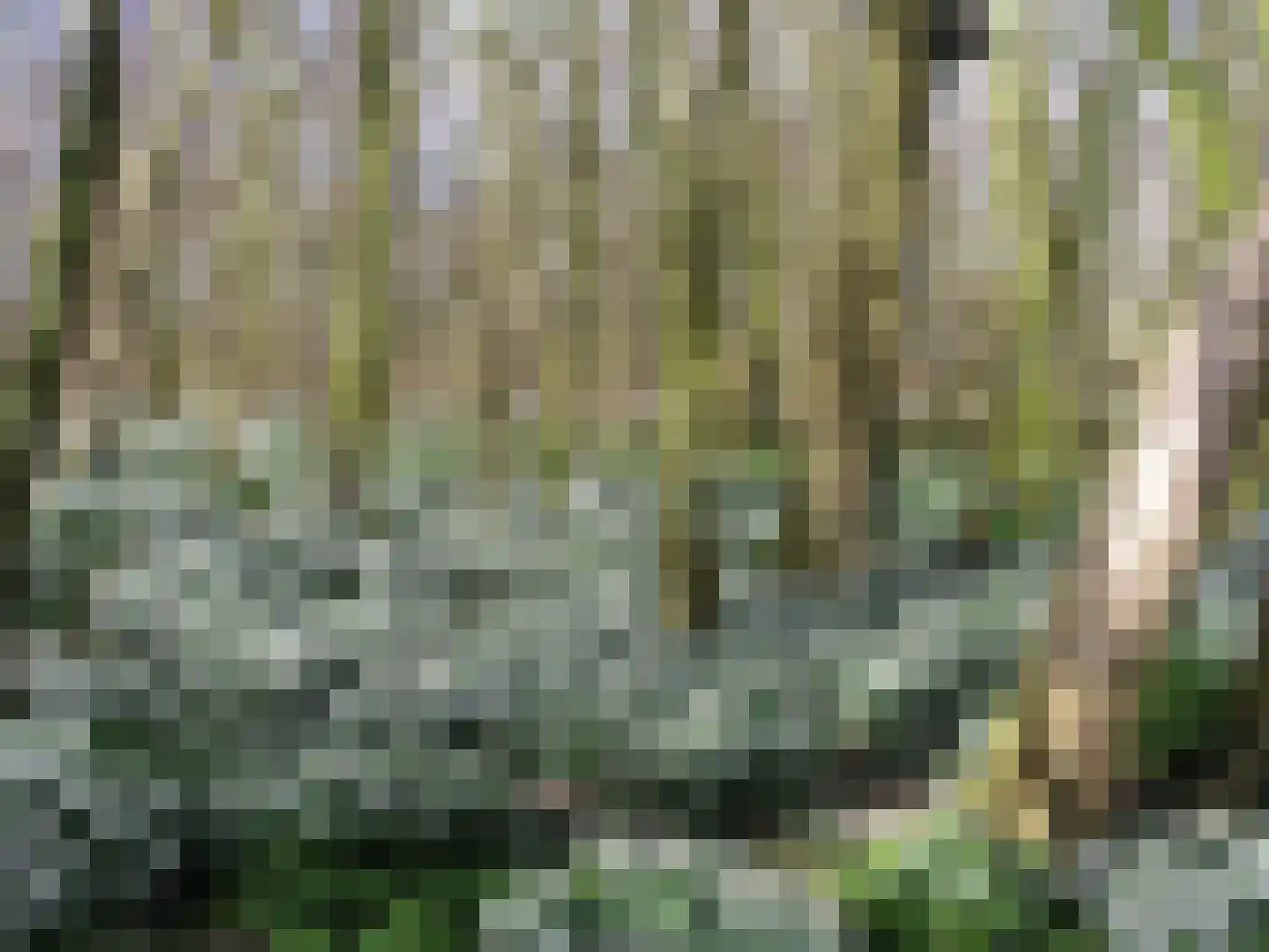 Westfriese Zeedijk 3 Sint Maarten thumbnail 38
