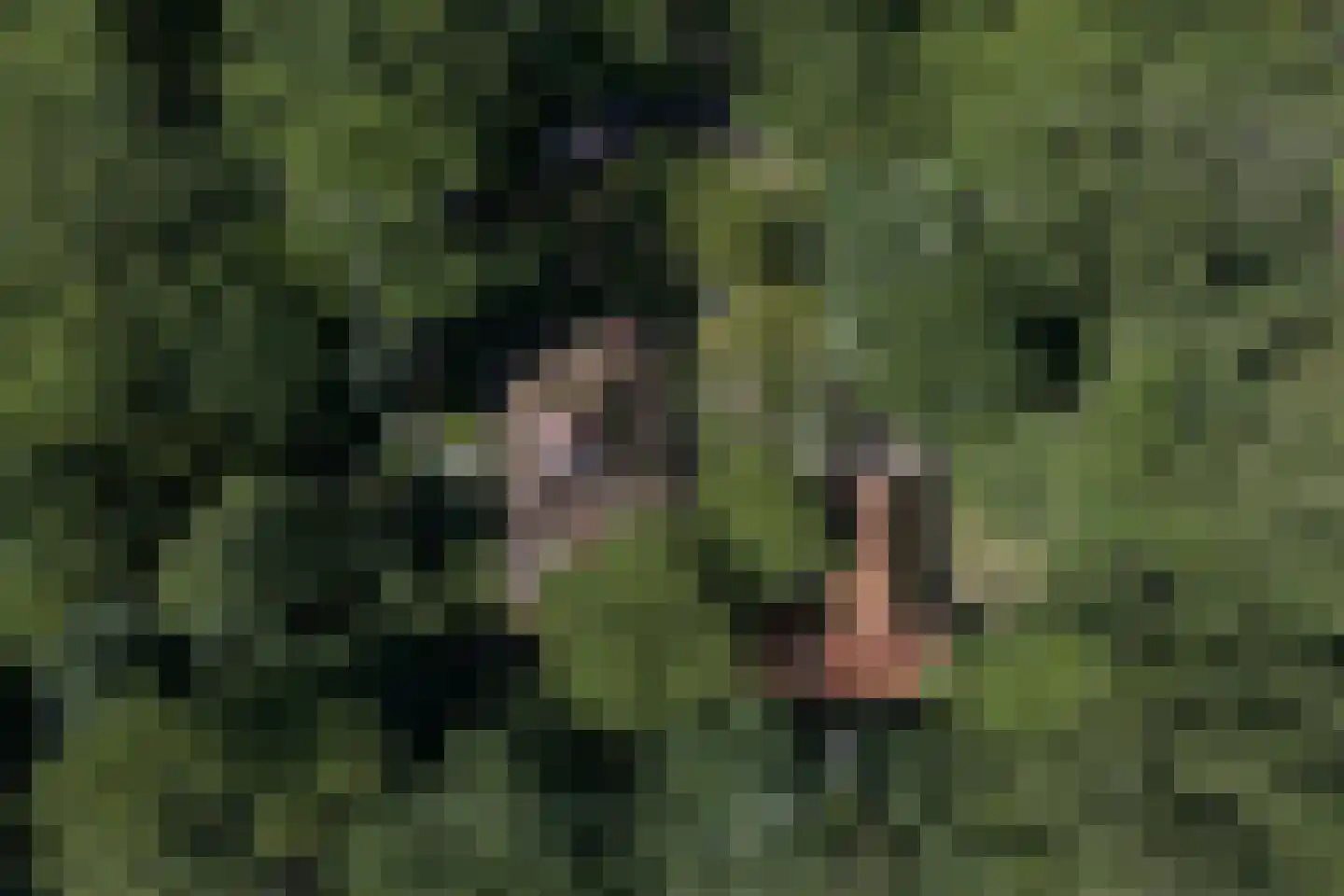 Westfriese Zeedijk 3 Sint Maarten thumbnail 4