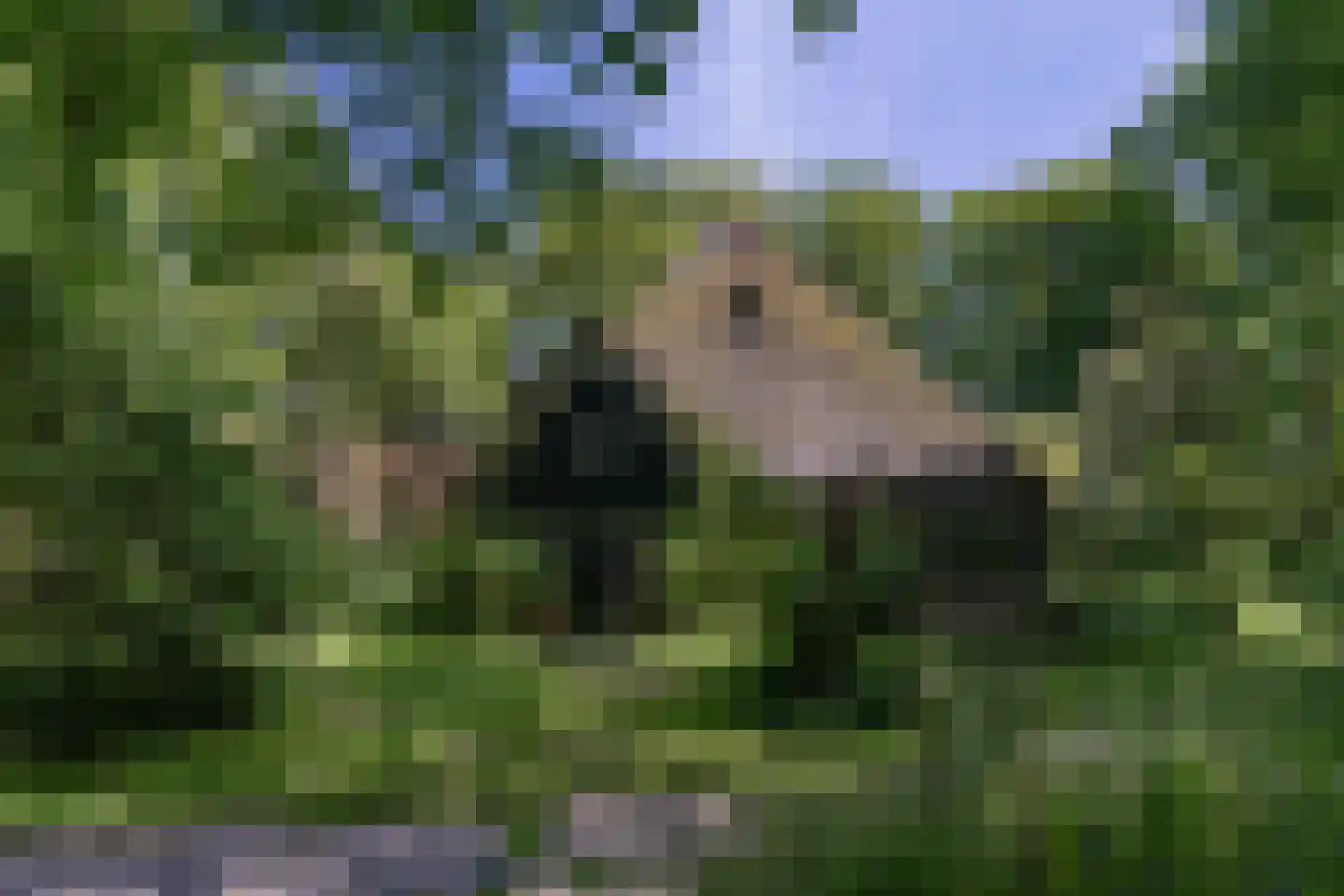 Westfriese Zeedijk 3 Sint Maarten thumbnail 5
