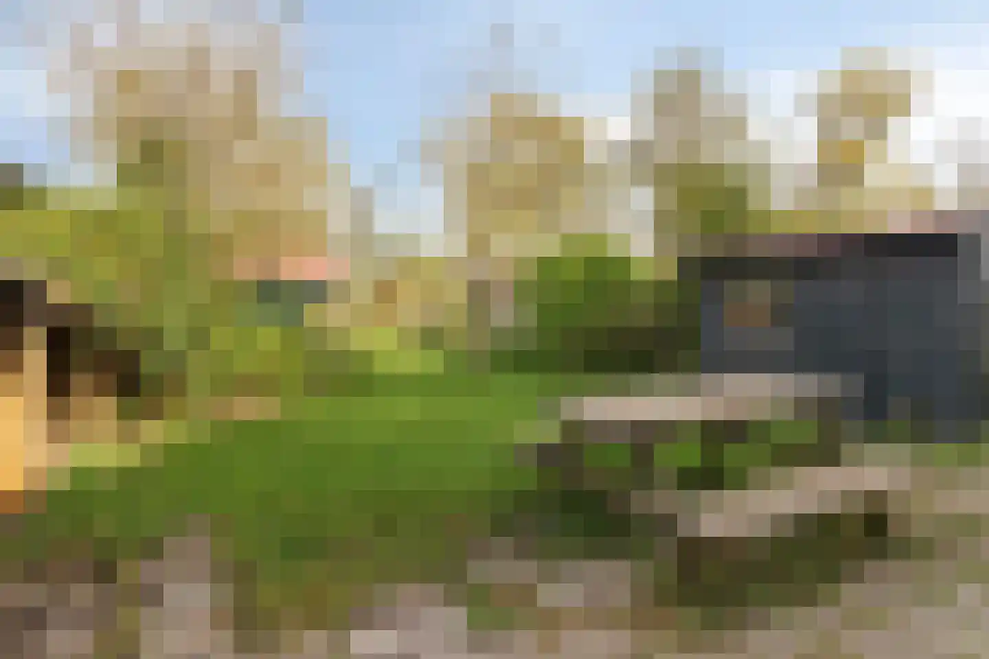 Westfriesedijk 142 Kolhorn thumbnail 32