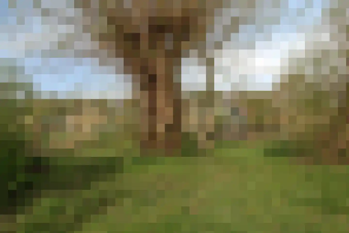 Westfriesedijk 142 Kolhorn thumbnail 38