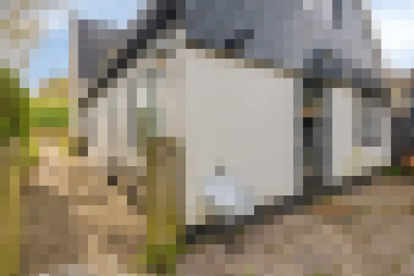Westfriesedijk 142 Kolhorn thumbnail 4
