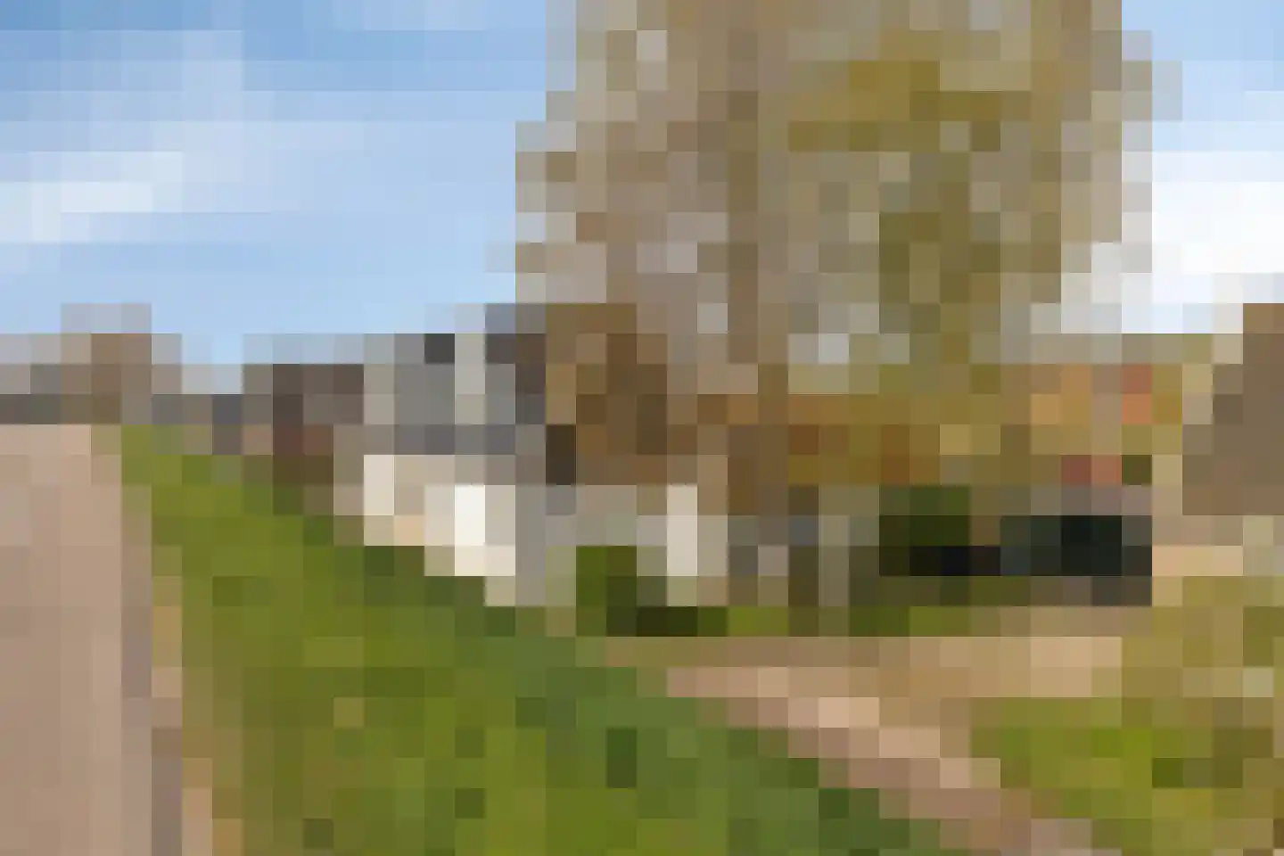Westfriesedijk 142 Kolhorn thumbnail 41