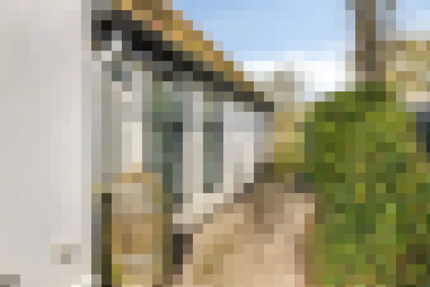 Westfriesedijk 142 Kolhorn thumbnail 5
