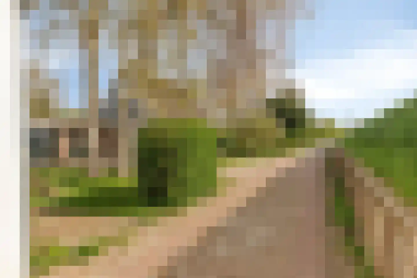 Westfriesedijk 142 Kolhorn thumbnail 6