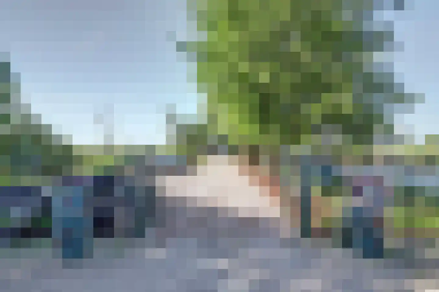 Westfriesedijk 16 Aartswoud thumbnail 5