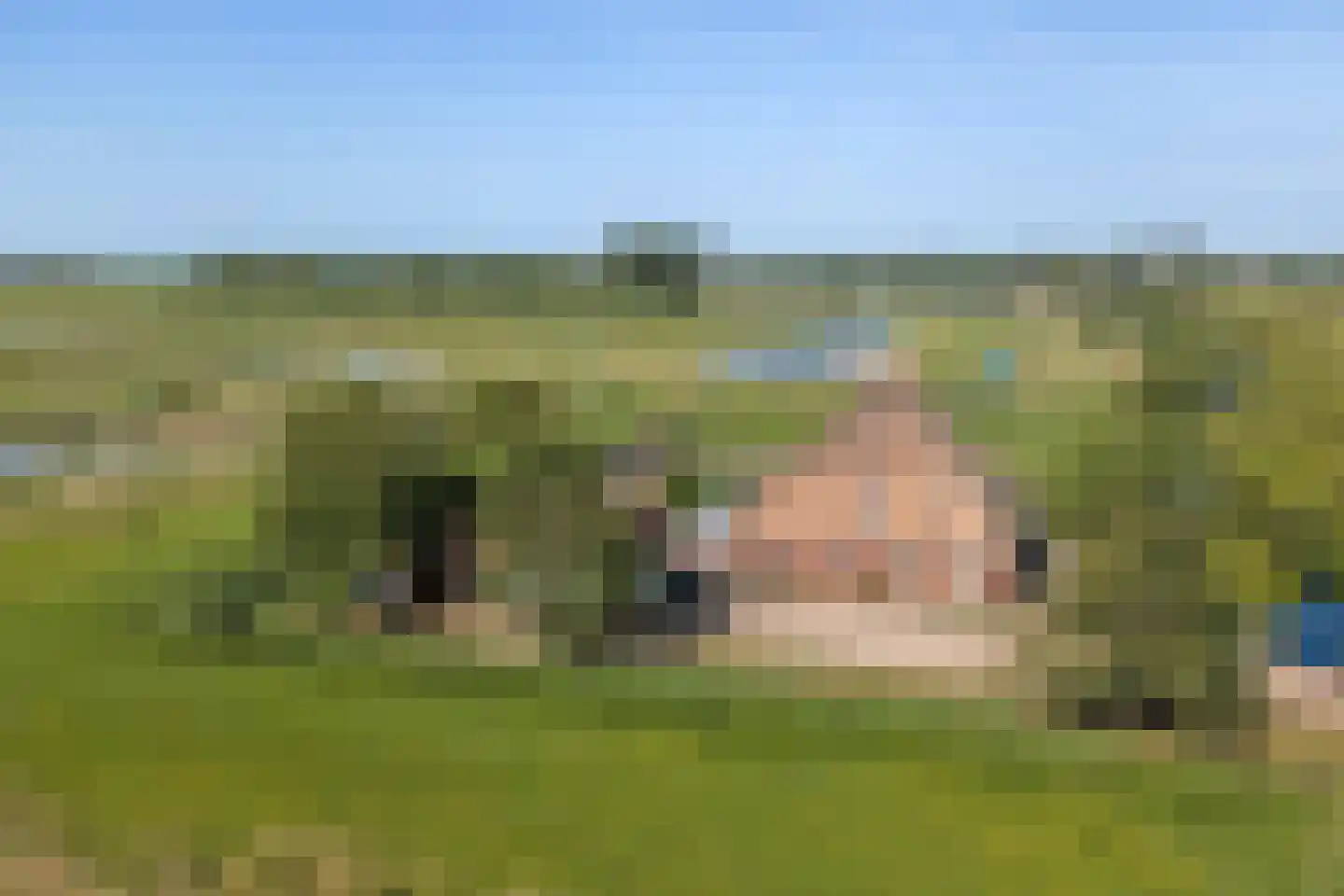 Westfriesedijk 16 Aartswoud thumbnail 74