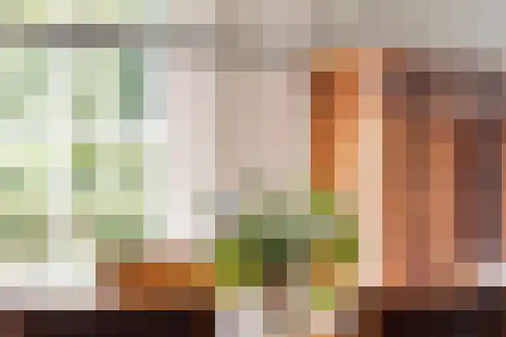Westfriesedijk 166 Kolhorn thumbnail 30