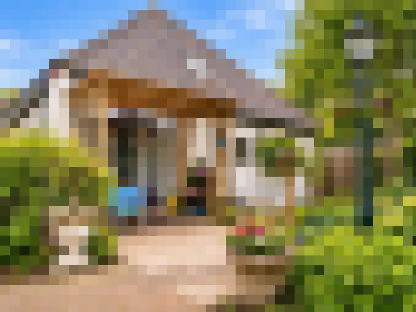Westfriesedijk 18 Warmenhuizen thumbnail 12