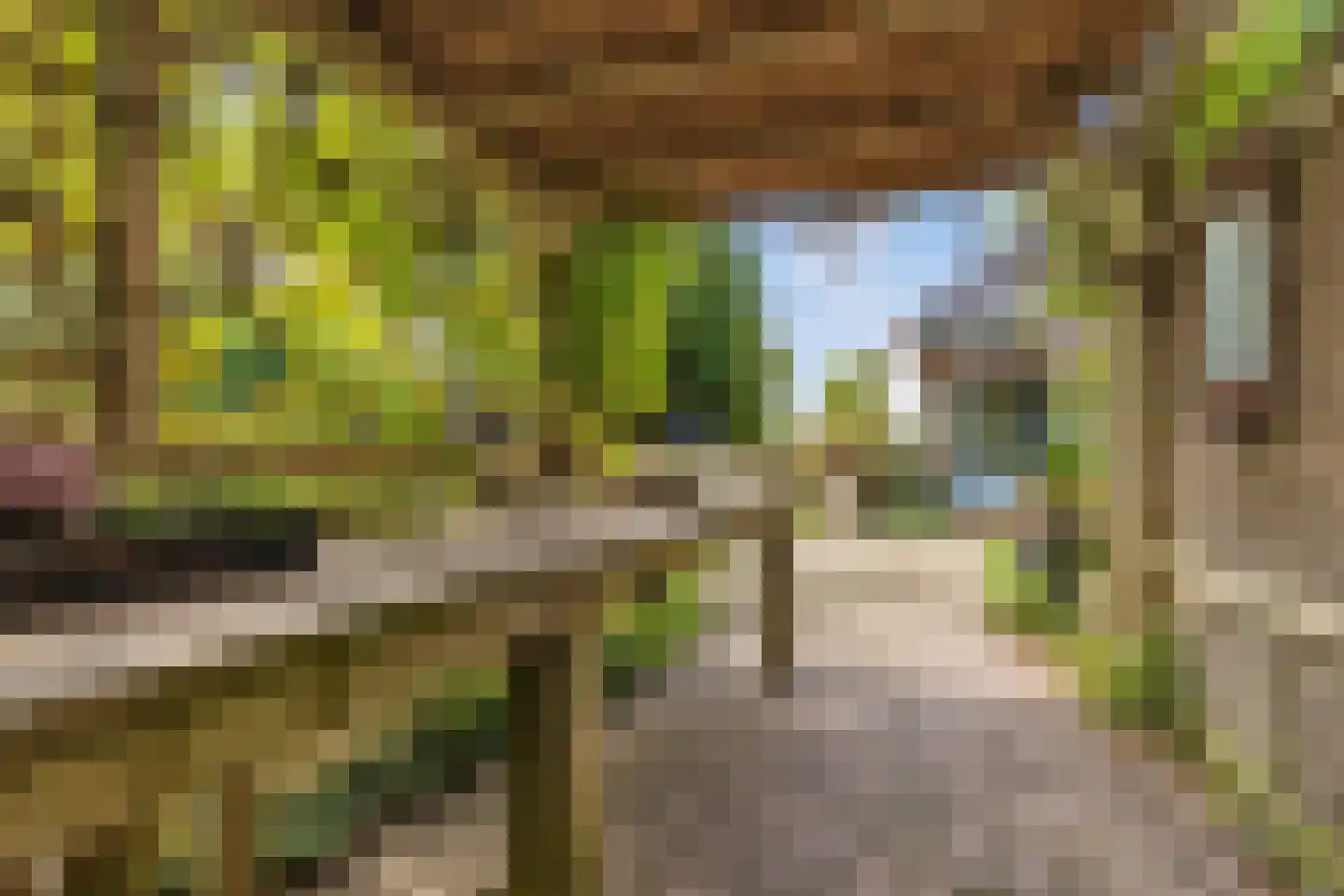 Westfriesedijk 18 Warmenhuizen thumbnail 13