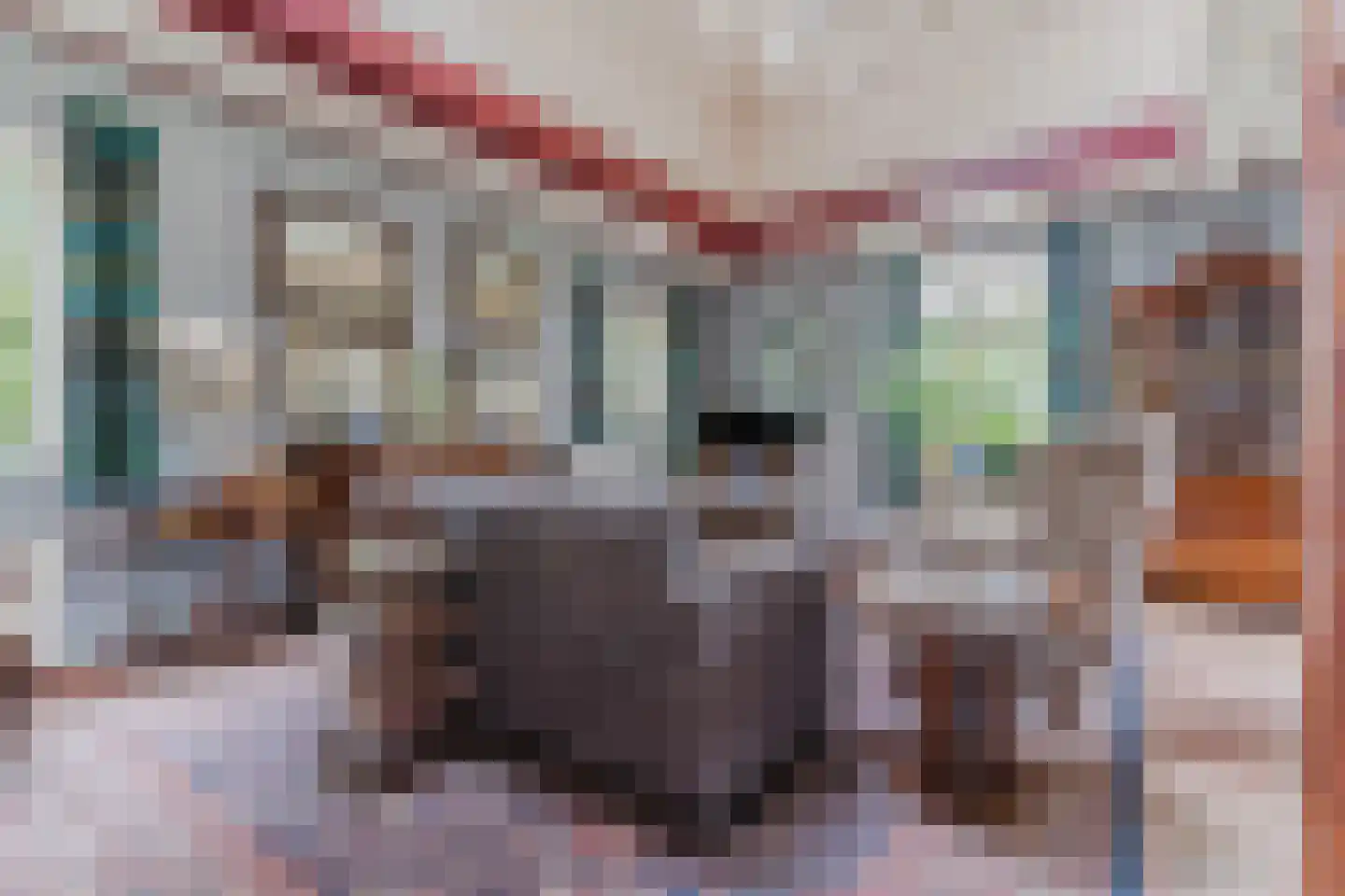 Westfriesedijk 18 Warmenhuizen thumbnail 17