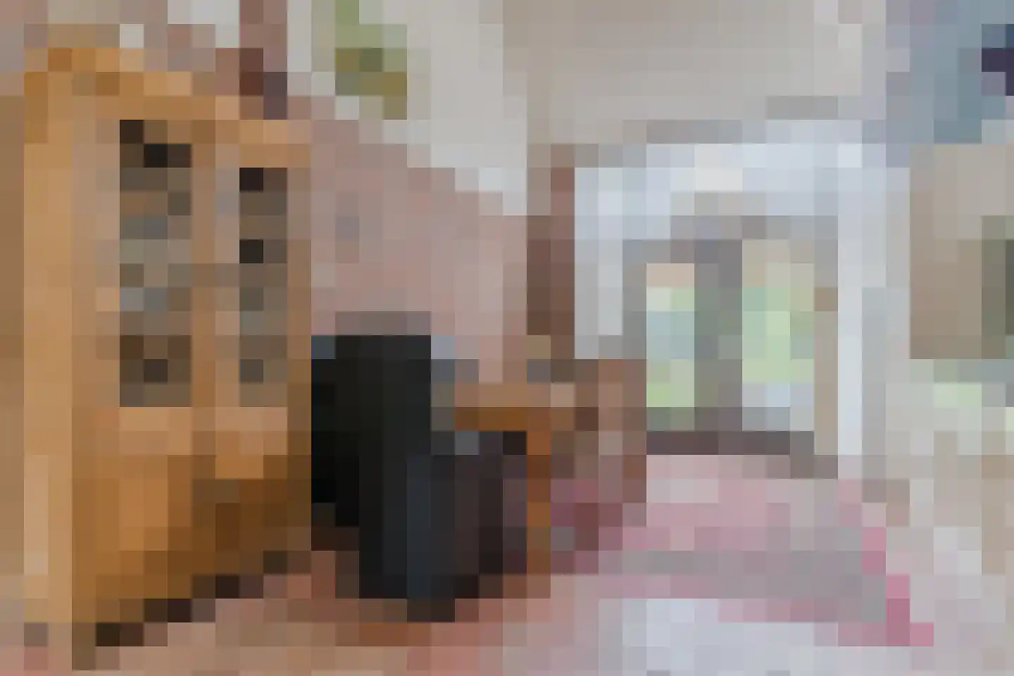 Westfriesedijk 18 Warmenhuizen thumbnail 27
