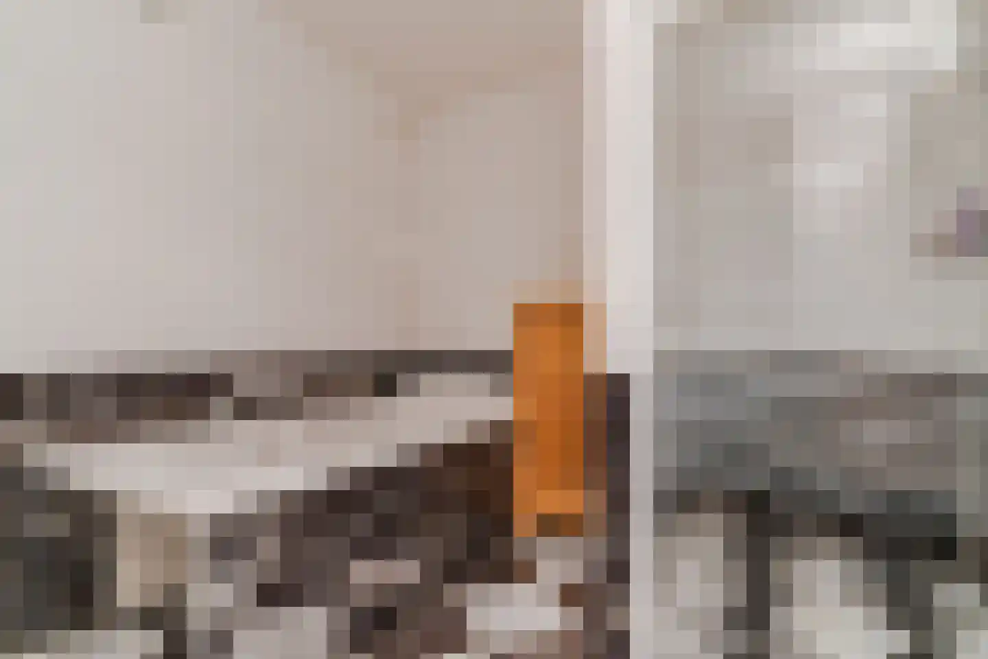 Westfriesedijk 18 Warmenhuizen thumbnail 30