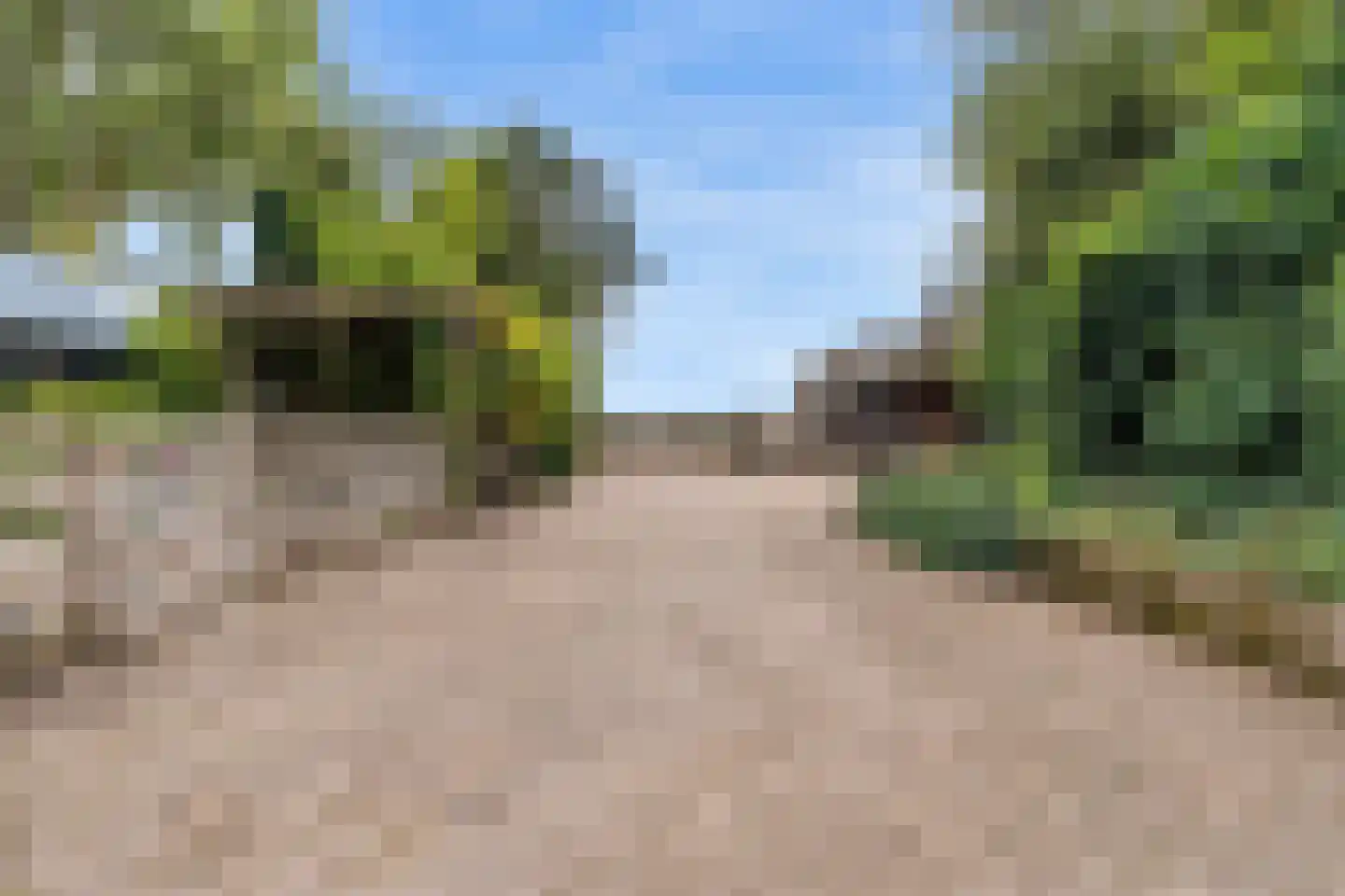 Westfriesedijk 18 Warmenhuizen thumbnail 48
