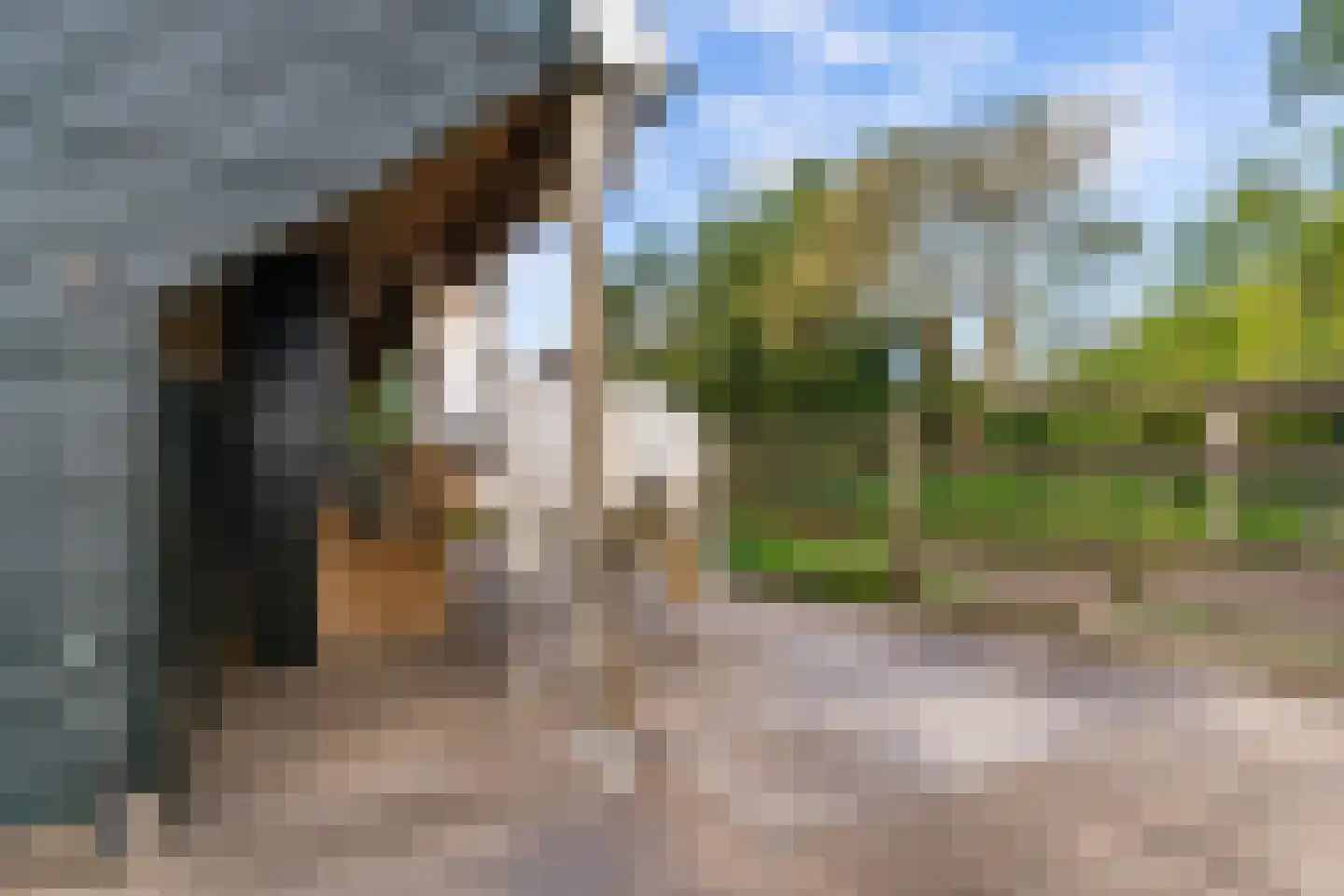 Westfriesedijk 18 Warmenhuizen thumbnail 58