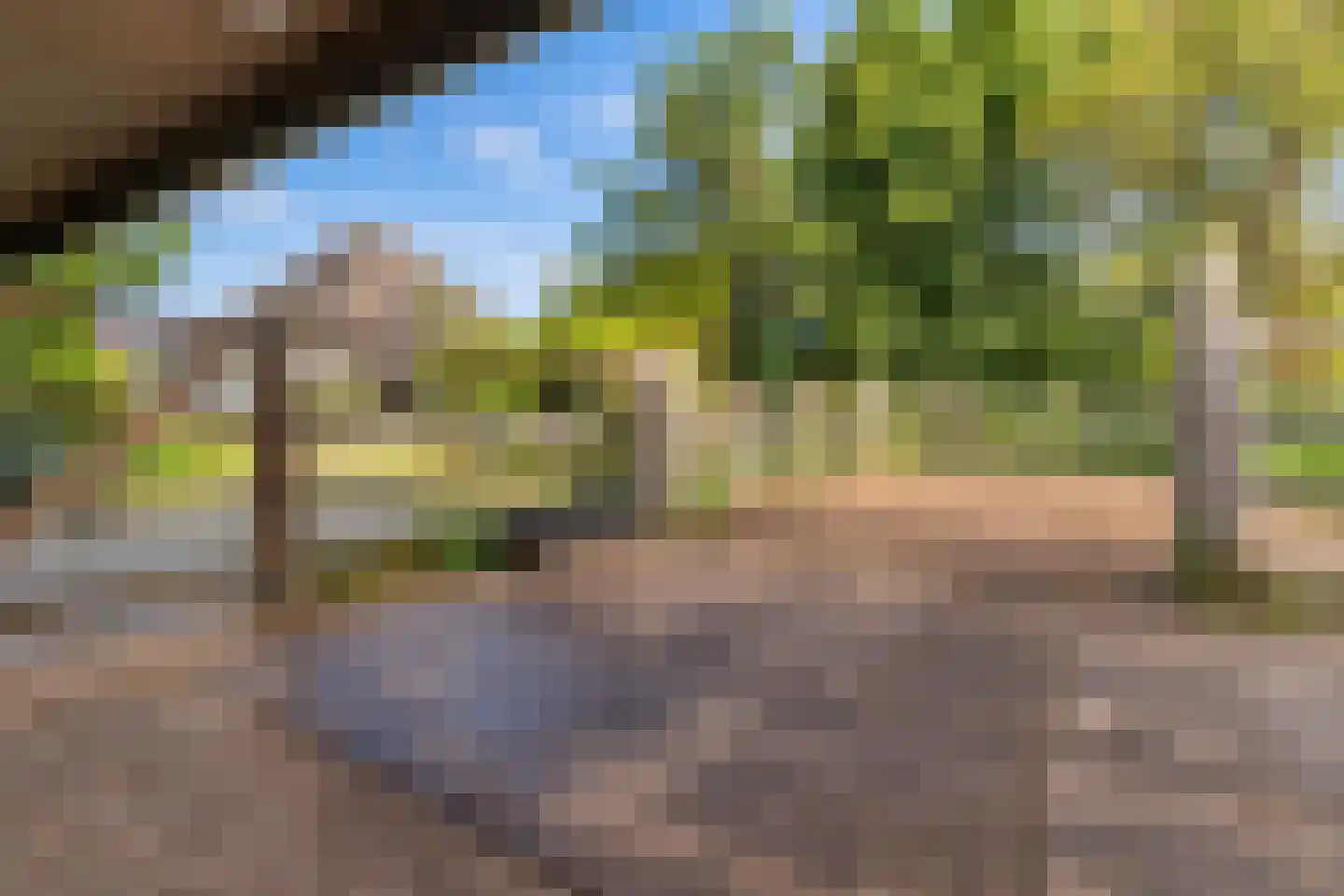 Westfriesedijk 18 Warmenhuizen thumbnail 59