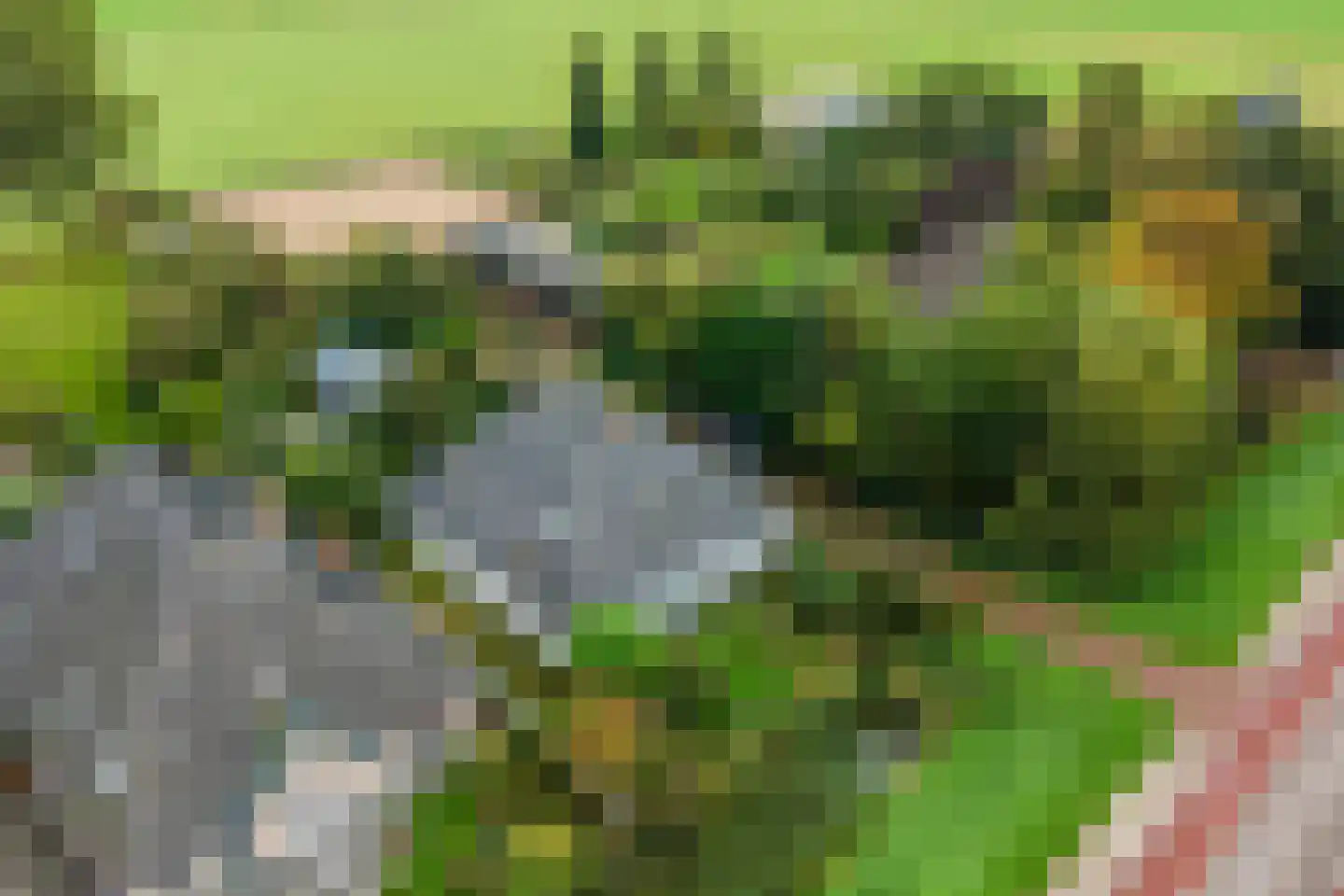 Westfriesedijk 18 Warmenhuizen thumbnail 64