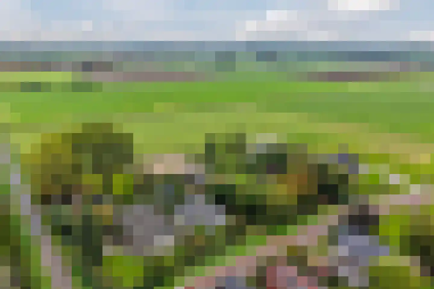 Westfriesedijk 18 Warmenhuizen thumbnail 65