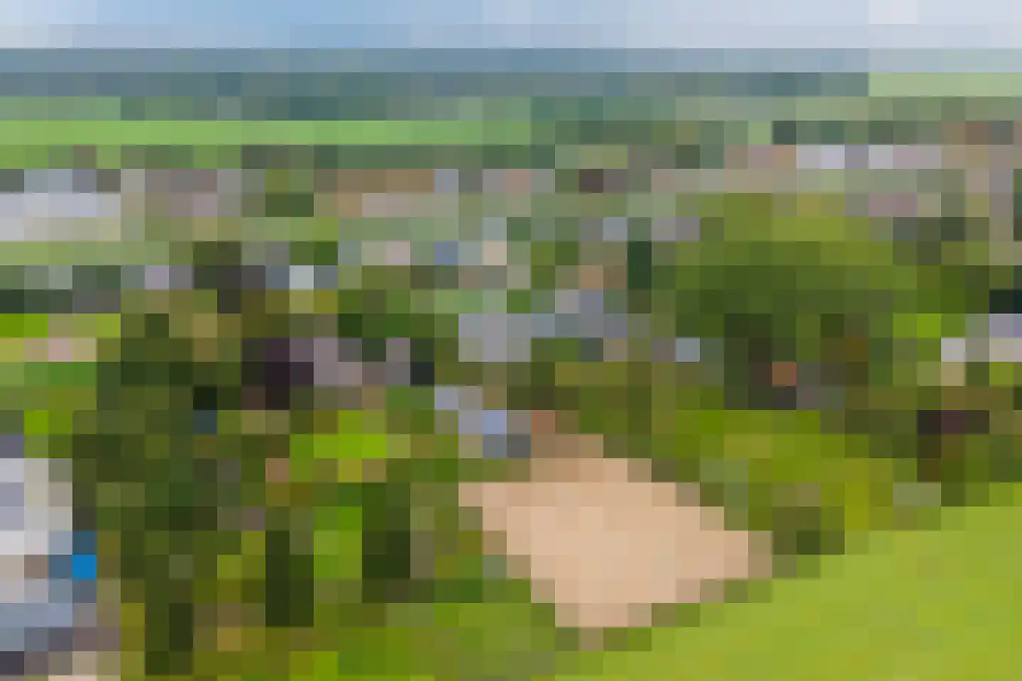 Westfriesedijk 18 Warmenhuizen thumbnail 66