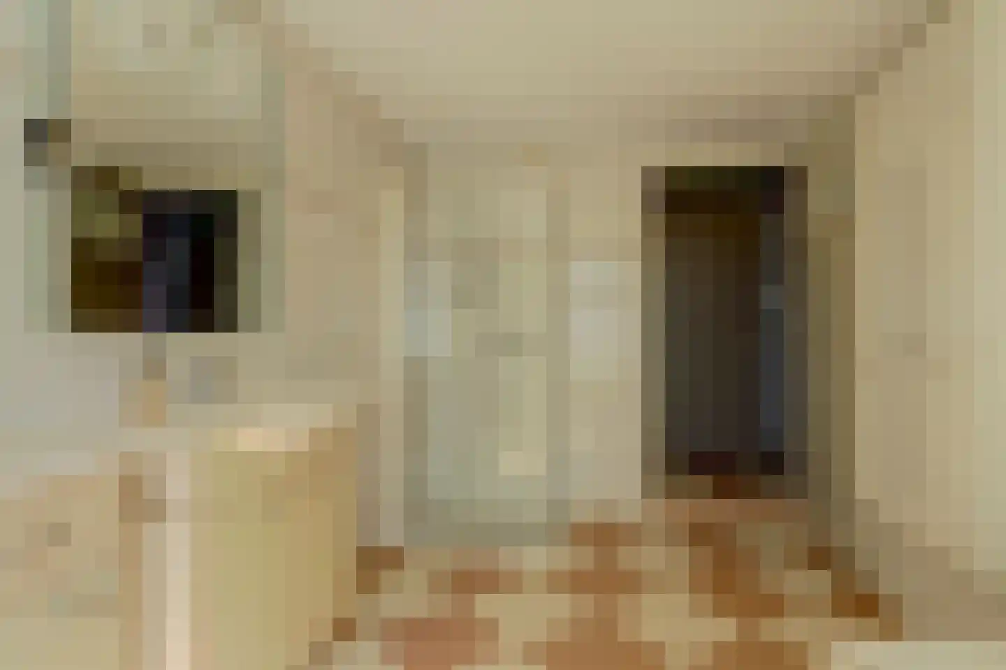 Westfriesedijk 27 Warmenhuizen thumbnail 18