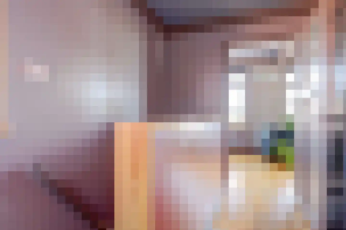 Westfriesedijk 27 Warmenhuizen thumbnail 26