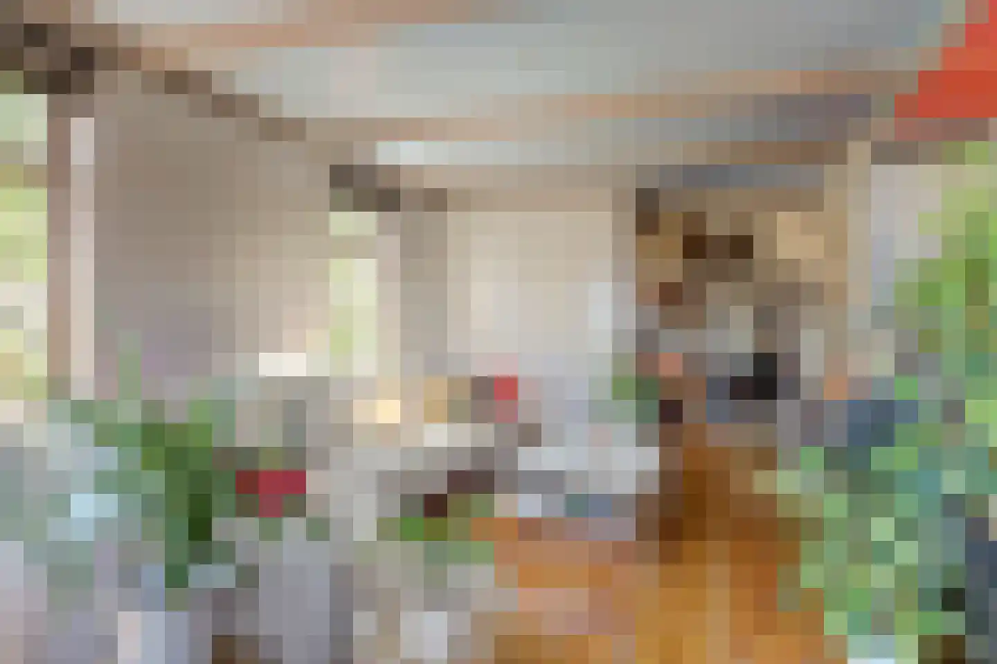 Westfriesedijk 27 Warmenhuizen thumbnail 31