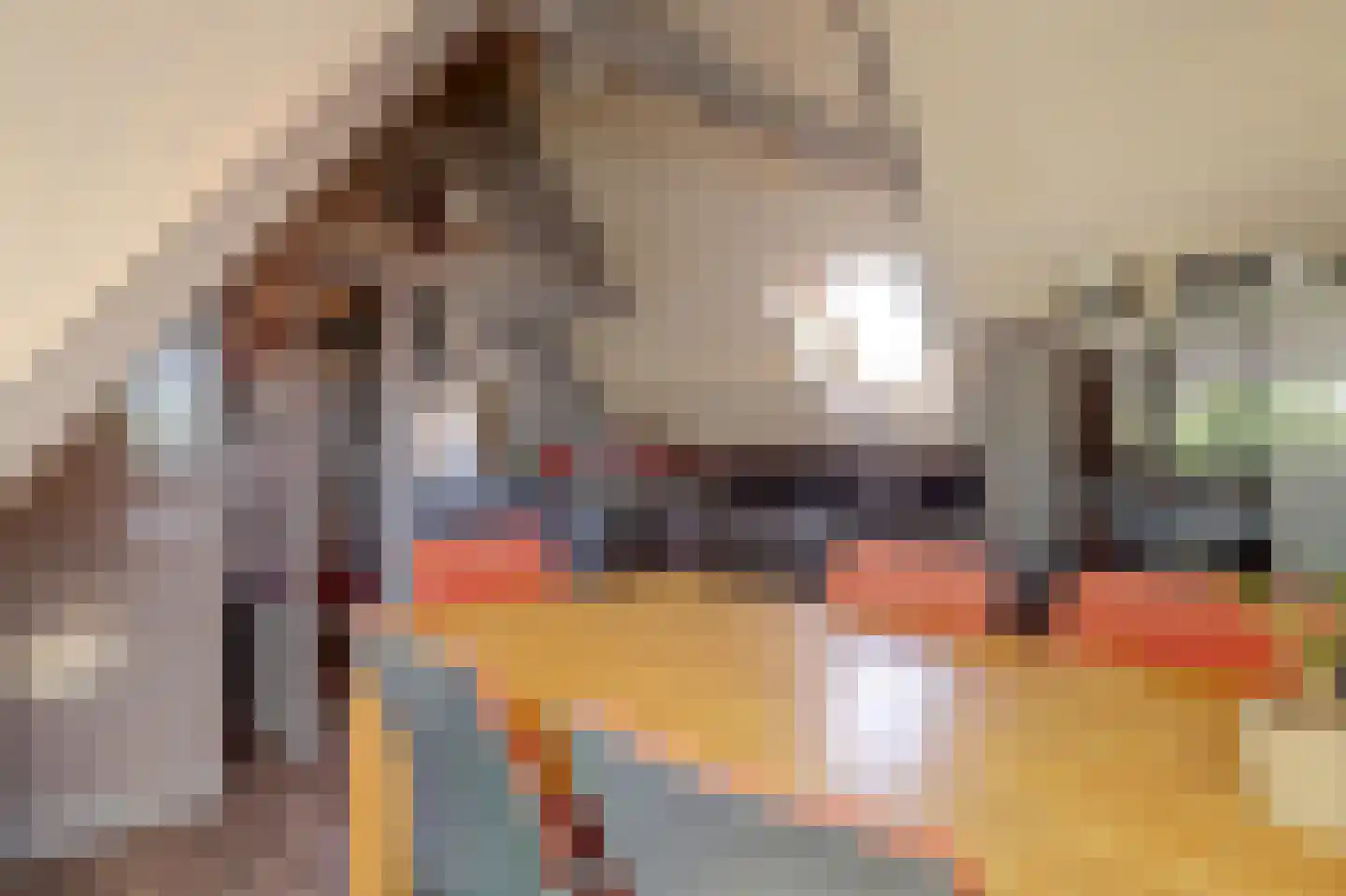 Westfriesedijk 27 Warmenhuizen thumbnail 37